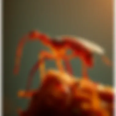 Magnificent Kala Azar: A Comprehensive Examination of a Neglected Tropical Disease Magnificent Kala Azar: A Comprehensive Examination of a Neglected Tropical Disease