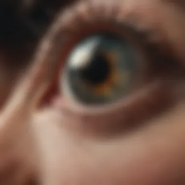 Magnificent Understanding Retina Image Tests: Techniques, Applications, and Implications Magnificent Understanding Retina Image Tests: Techniques, Applications, and Implications