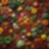 Vibrant array of fresh vegetables and fruits