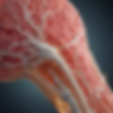 Neurological Functions of Histamine Neurological functions of histamine