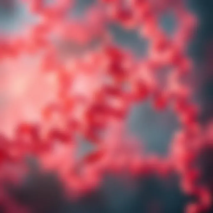 ACTN3 protein structure illustrating its role in muscle fibers