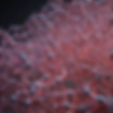 Molecular structure of type IV collagen