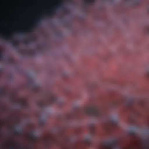 Molecular structure of type IV collagen