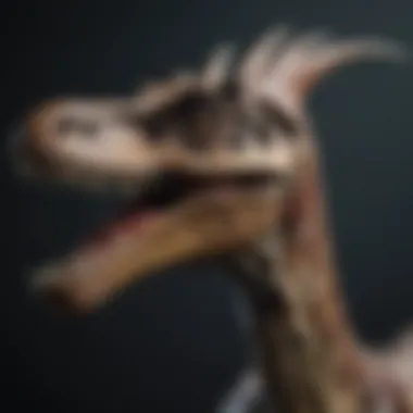 A close-up of the unique skeletal structure of a long-necked dinosaur