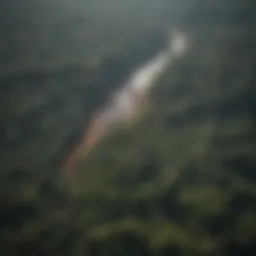 Aerial view of the Amazon rainforest with visible deforestation