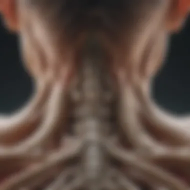 Impact of Ankylosing Spondylitis on Spine Illustration depicting the spine and sacroiliac joints affected by ankylosing spondylitis