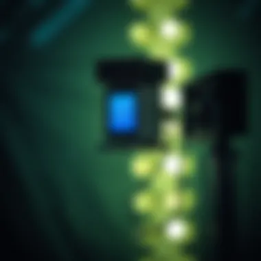 Applications of microwave sensors in monitoring