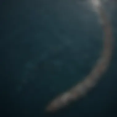 Aerial Perspective of Marine Pollution Aerial view of the Pacific Garbage Patch showcasing floating debris