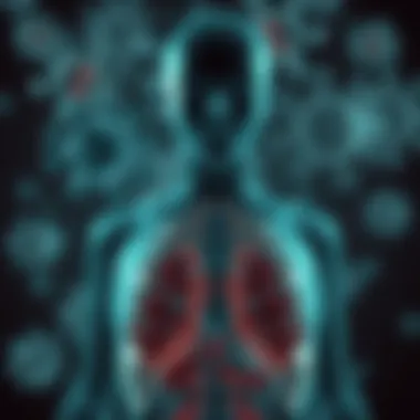 Diagram depicting the relationship between autoimmunity and immune function