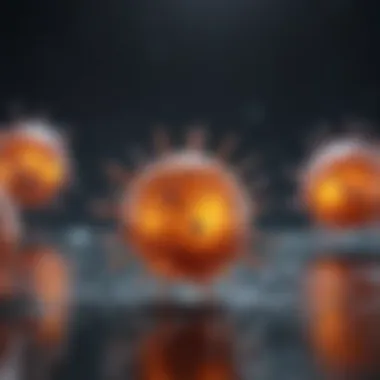 Understanding B Cell Media Components B cell media components and their interactions