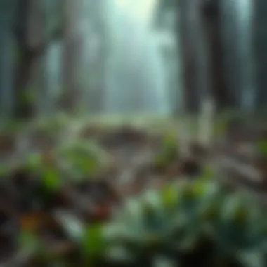 Biodiversity Loss and Environmental Impact Visual representation of biodiversity loss due to environmental changes