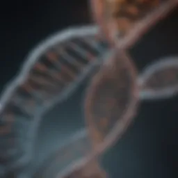 Illustration of bisulfite treatment effects on DNA