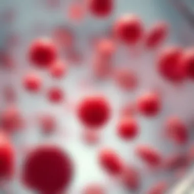 Illustration of blood components and their significance