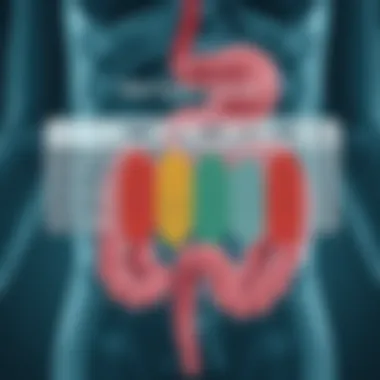 Risk Factors for Bowel Cancer Chart illustrating risk factors associated with bowel cancer