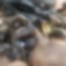 Innovative cancer vaccine development