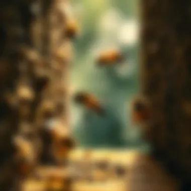 The State of Beehives Under Threat A comparison of a healthy beehive and a declining one, representing the impact of environmental factors