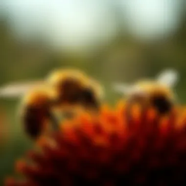 Pesticides and Their Threat to Bees A visual representation of pesticides and their harmful effects on bee populations