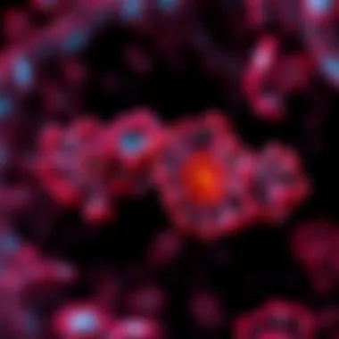 Graphical overview of cellular interactions revealed by multiplex IHC staining