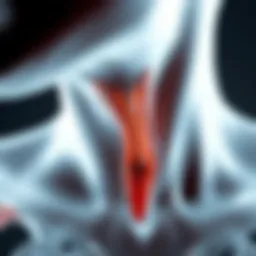 Detailed anatomical illustration of cervical lymph nodes