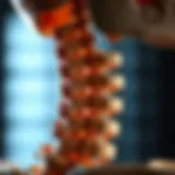 Anatomical illustration of the cervical spine highlighting vertebrae