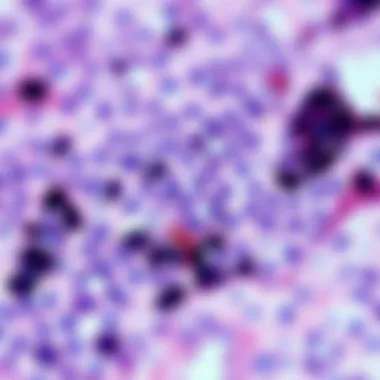 Visual summary of challenges faced in multiplex IHC and possible solutions