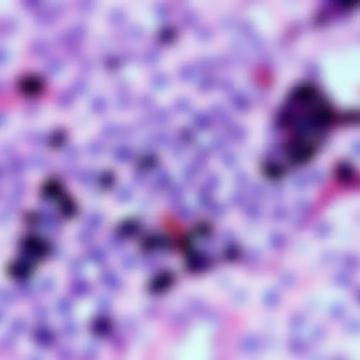 Visual summary of challenges faced in multiplex IHC and possible solutions