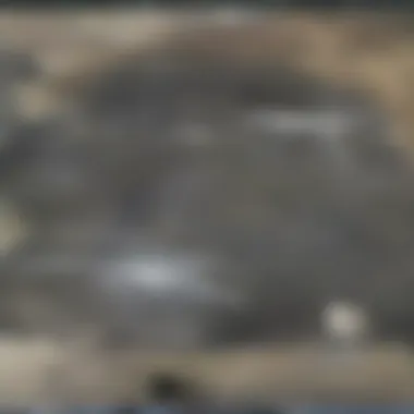 Darwin's Exploration Route in the Galapagos Map showcasing Darwin's route through the Galapagos