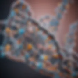 Depiction of nucleotide structure showing phosphate, sugar, and base components