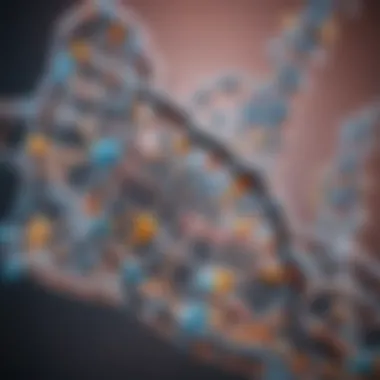 Depiction of nucleotide structure showing phosphate, sugar, and base components