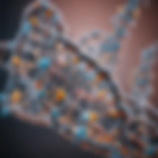 Depiction of nucleotide structure showing phosphate, sugar, and base components