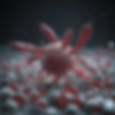 Role of Chitin Inhibitors in Medicine Visual representation of chitin inhibitors' role in medical applications.