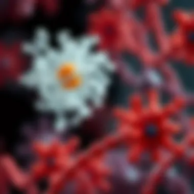 Cellular Interactions of Collagen IV Sigma Diagram illustrating the interaction of Collagen IV Sigma with cellular components