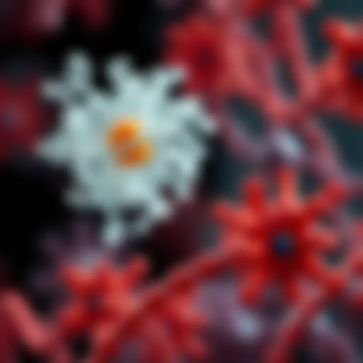 Cellular Interactions of Collagen IV Sigma Diagram illustrating the interaction of Collagen IV Sigma with cellular components