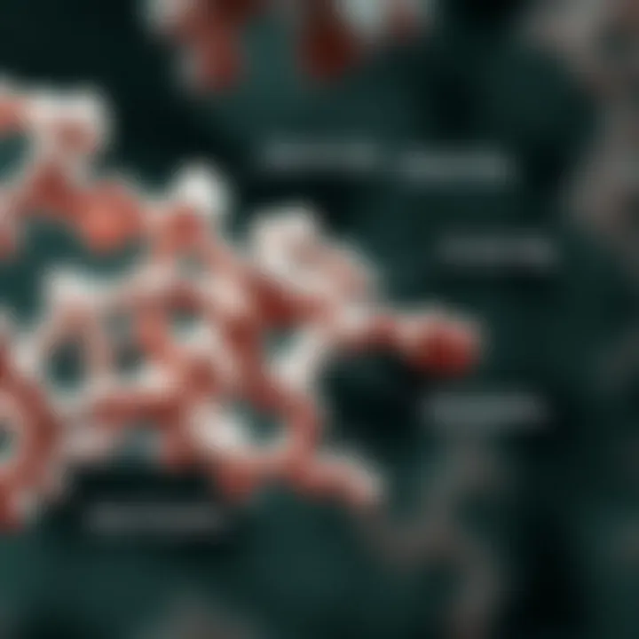 Pathological Implications of Collagen IV Sigma Graphical representation of the pathological implications associated with Collagen IV Sigma