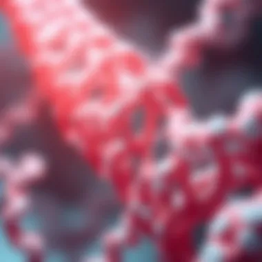 Role of Collagen IV Sigma in Tissue Integrity Illustration depicting the role of Collagen IV Sigma in tissue integrity