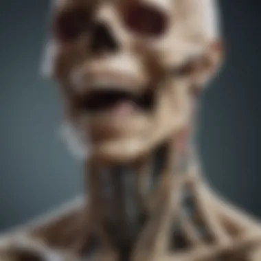 Skeletal Problems in Hypoparathyroidism Skeletal complications arising from hypoparathyroidism
