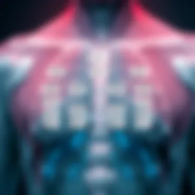 Diagram illustrating the classification of Cutaneous T-Cell Lymphoma