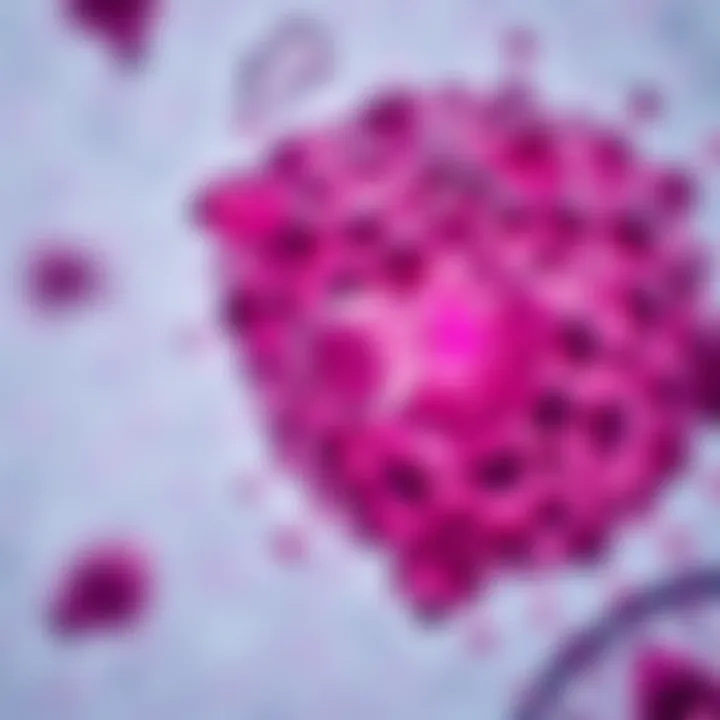 Microscopic view of Cutaneous T-Cell Lymphoma cells