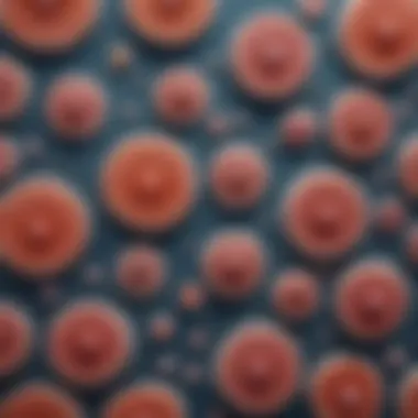 Classification chart of different types of squamous epithelium cells