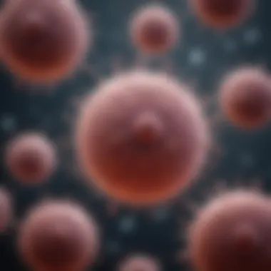 Notable Comprehensive Examination of HEK293F Cells: Characteristics, Applications, and Advances Notable Comprehensive Examination of HEK293F Cells: Characteristics, Applications, and Advances