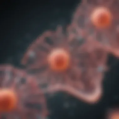 Protein Transfer to Membrane Visualization of protein transfer to a membrane