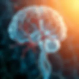 Neurobiological pathways associated with OCD