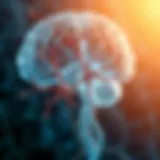 Neurobiological Pathways of OCD Neurobiological pathways associated with OCD