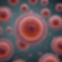 Microscopic view of cultured cells
