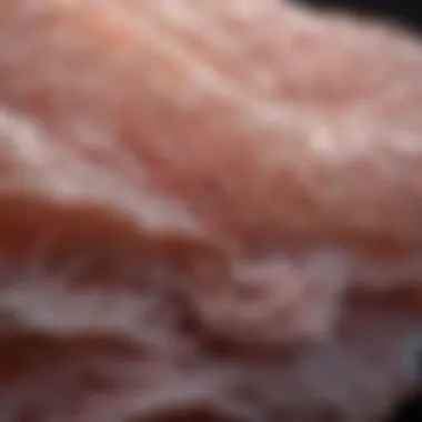 Detailed Structure of Compressed Tissue Illustration of compressed tissue structure