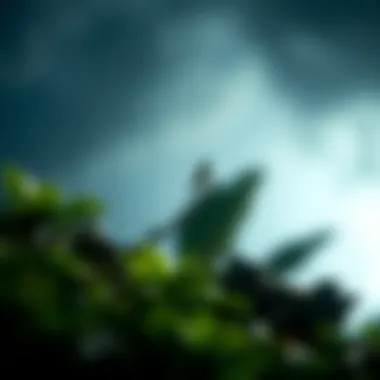 Conservation Efforts for Biodiversity Preservation Conceptual image illustrating conservation efforts and their importance for future biodiversity