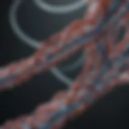 Visualization of crosslinking techniques in protein studies