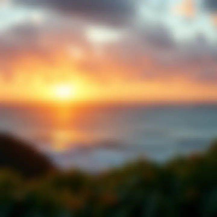 Diagram of trade winds and their influence on climate