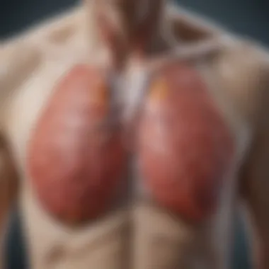 Common Pathologies Detected by Chest X-rays Illustration showcasing common pathologies detected through chest X-rays