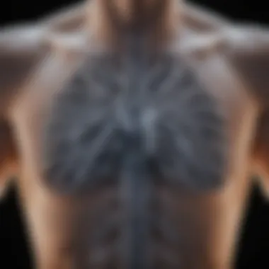 Advanced Technologies in Chest X-ray Analysis Visualization of advanced computer algorithms aiding in chest X-ray analysis